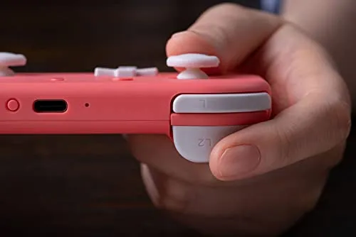 8Bitdo Lite 2 4