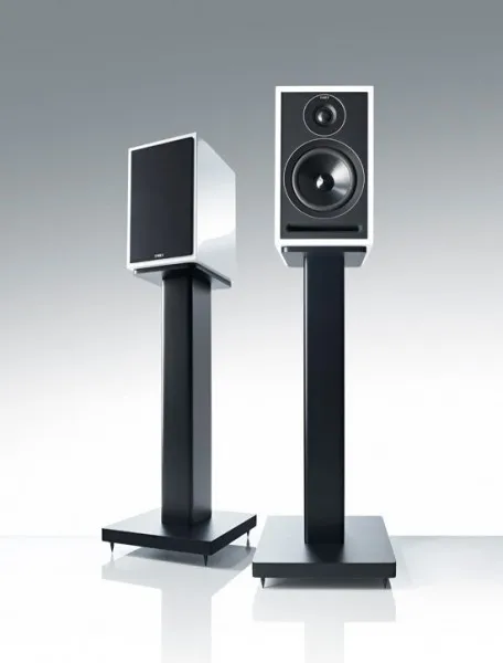 Acoustic Energy 301 2