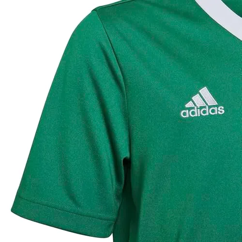 adidas Entrada 22 5