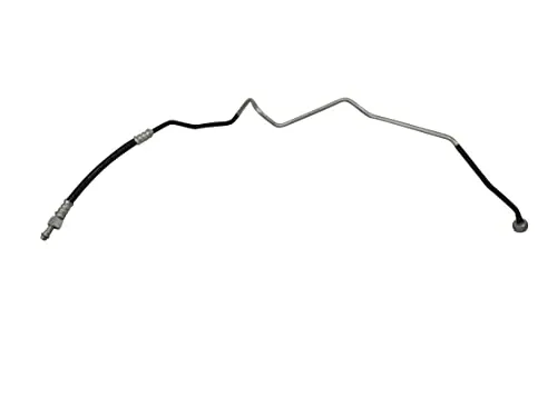 AIC 56919