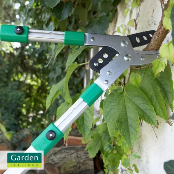 Aldi Garden Feelings Teleskop-Astschere 2