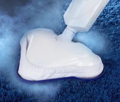 Aldi Quigg Dampfbesen 3