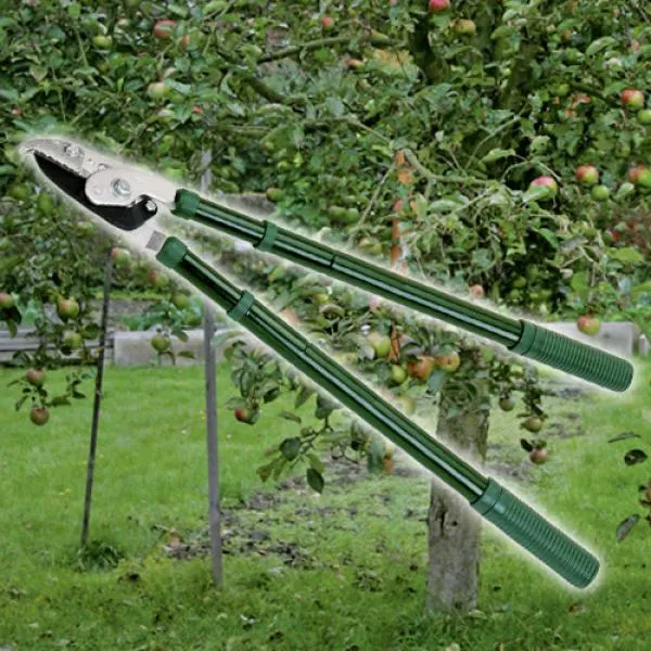 Aldi Top Craft Teleskop-Astschere