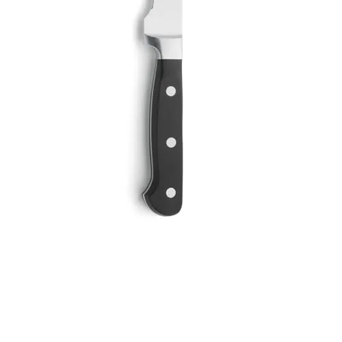 Amefa Filetiermesser UC 3