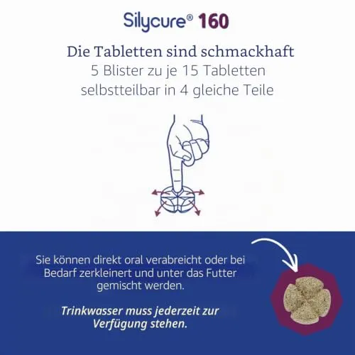 ANIDEV Silycure 160 3