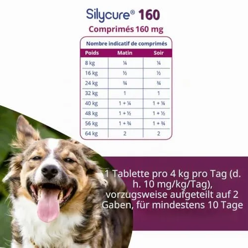 ANIDEV Silycure 160 4