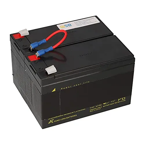 APC Smart UPS 450
