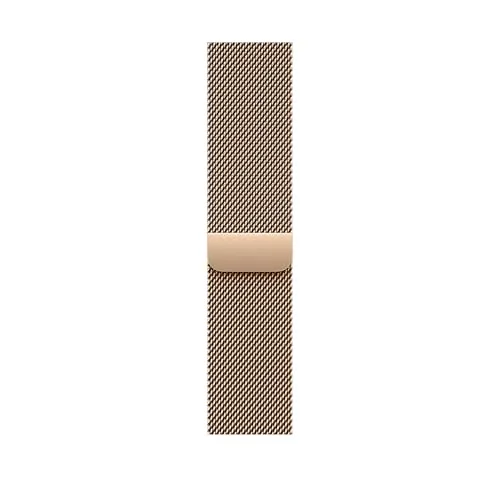Apple Watch Milanaise