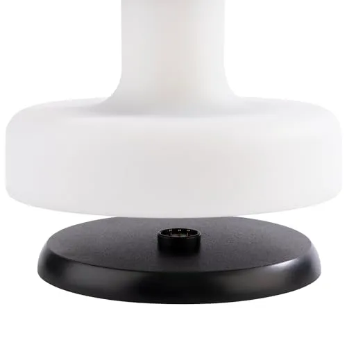 APS FINN UC 3