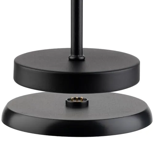 APS MERLE MINI 3