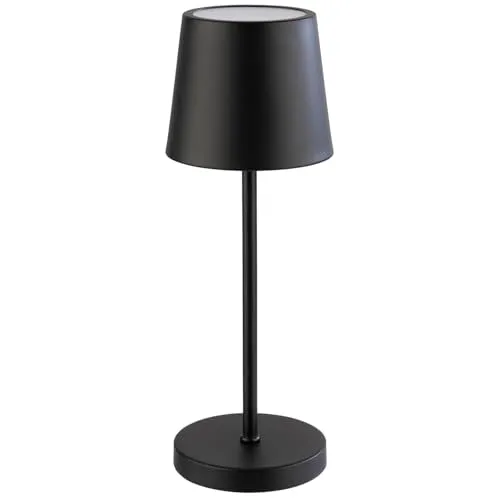 APS MERLE MINI