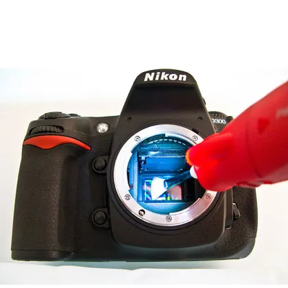 Arctic Butterfly 724 Brite