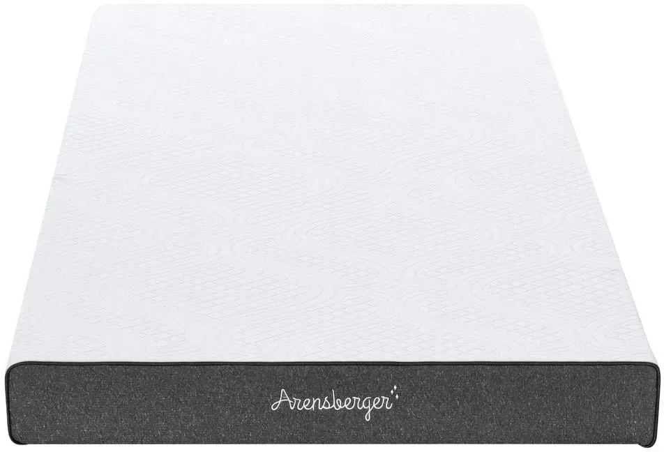Arensberger ANNA
