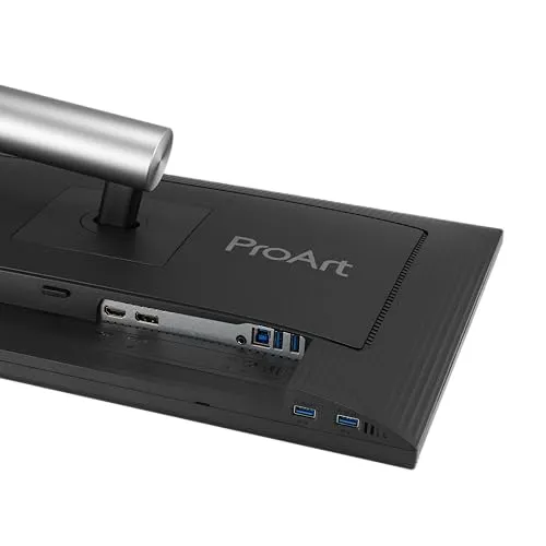 ASUS ProArt Display PA248QFV 4