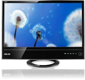Asus ML238H