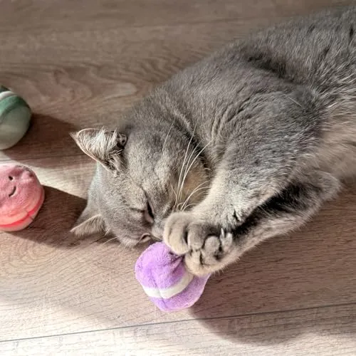 Aumüller Macarons 3