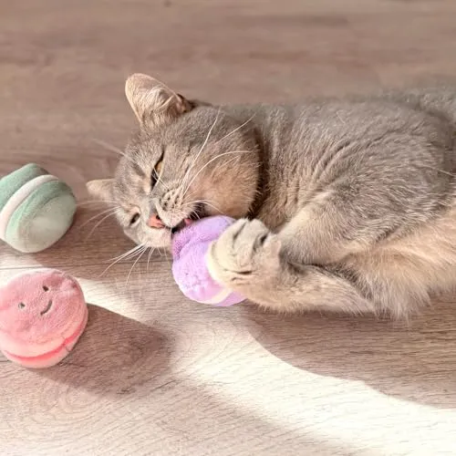 Aumüller Macarons 5