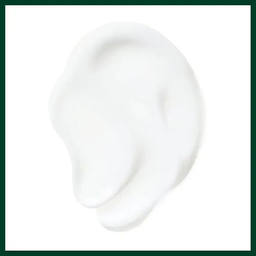 Aveda Nutriplenish Daily Moisturizing Treatment 4