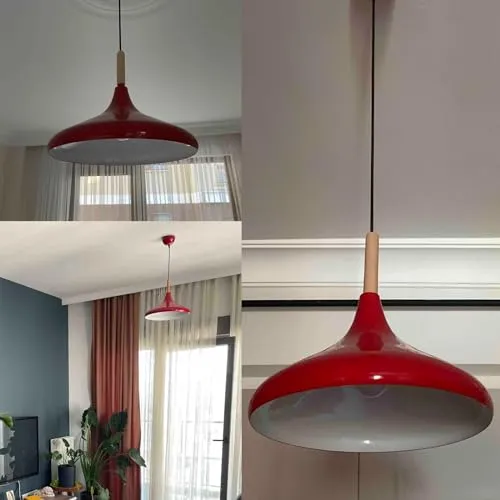 bamyum Champion 4
