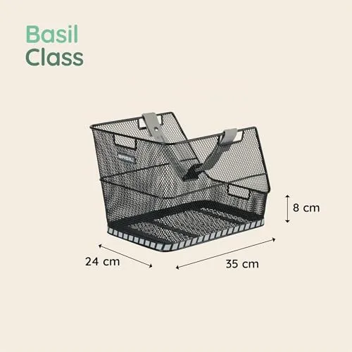 Basil Class 3