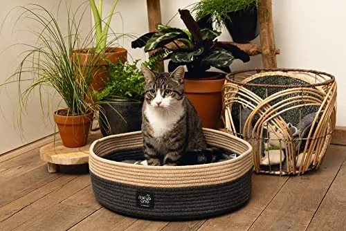 Beeztees Minus One Xana 3