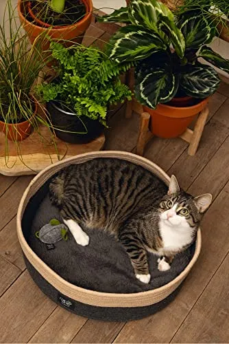 Beeztees Minus One Xana 4