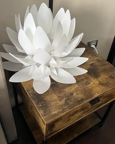Beliani Blume 7