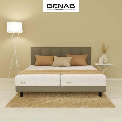BENAB Fyzio 2