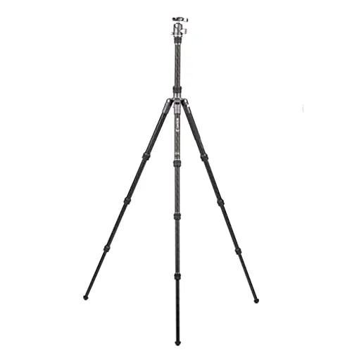 Benro Bat 24C 6