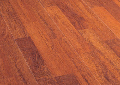 Berry Floor Hydro Plus