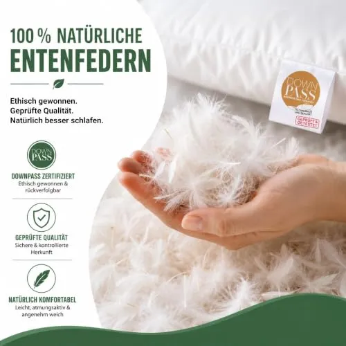 Bestlivings Federkissen 2