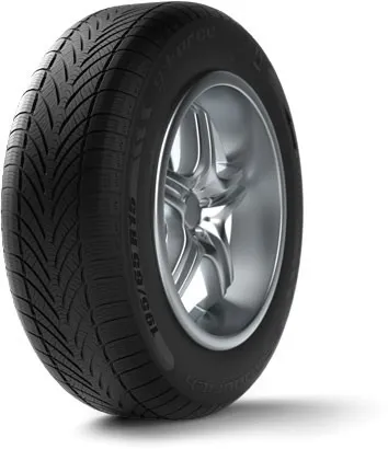 BF Goodrich g-Force Winter (205/55 R16H)