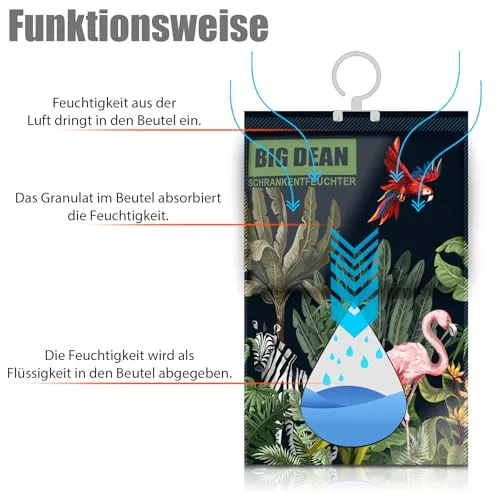 BigDean 10 XL 4