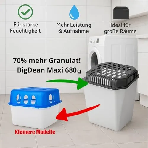 BigDean 3 Maxi 2