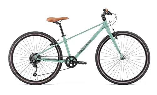 BIKESTAR City Bike Ultra Leicht
