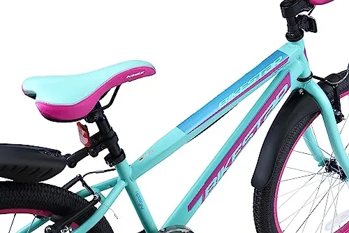 BIKESTAR Urban Jungle 4