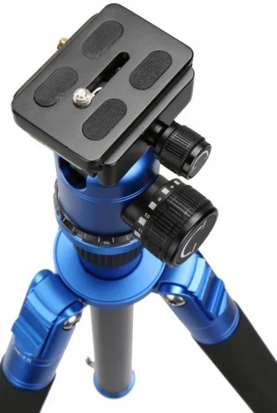 Bilora Coloured Pod CP-2 5