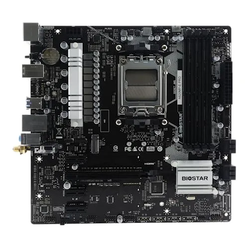 Biostar MB A620MP-E Pro