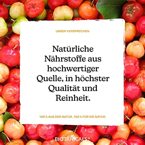 Biotanicals Vitamin C 6