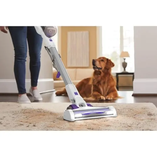 BLACK+DECKER BHFEV1825CP 4