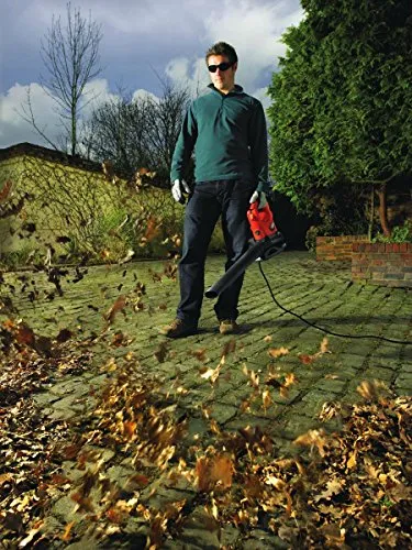 Black & Decker GW 2200 3