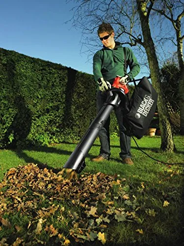 Black & Decker GW 2200 6