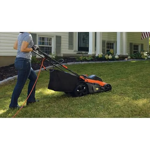 BLACK+DECKER LM2000-QS 2