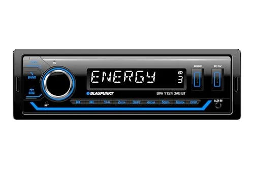Blaupunkt BPA 1124 DAB BT