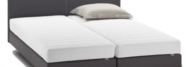 Auping Box Dublin Flach Maximus AVS