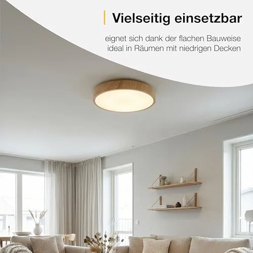 Brilliant LED Deckenleuchte 5