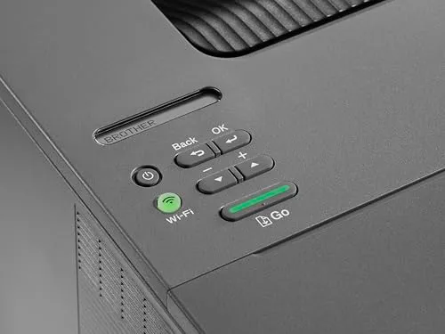 Brother HL-L2400DW 4