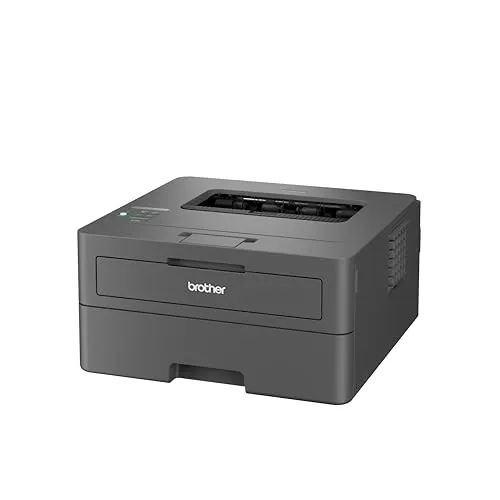 Brother HL-L2400DW 5