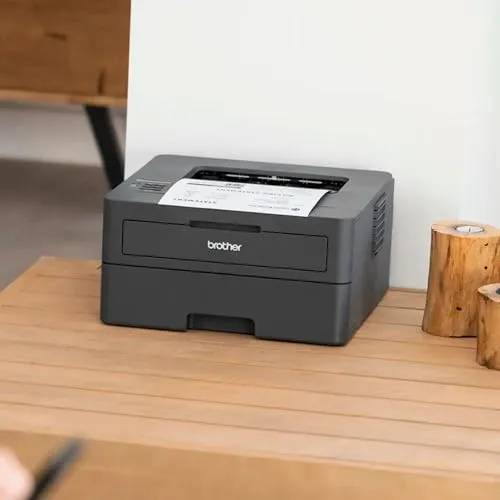 Brother HL-L2400DWE EcoPro 4