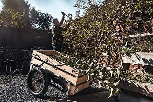 Burley Flatbed 5